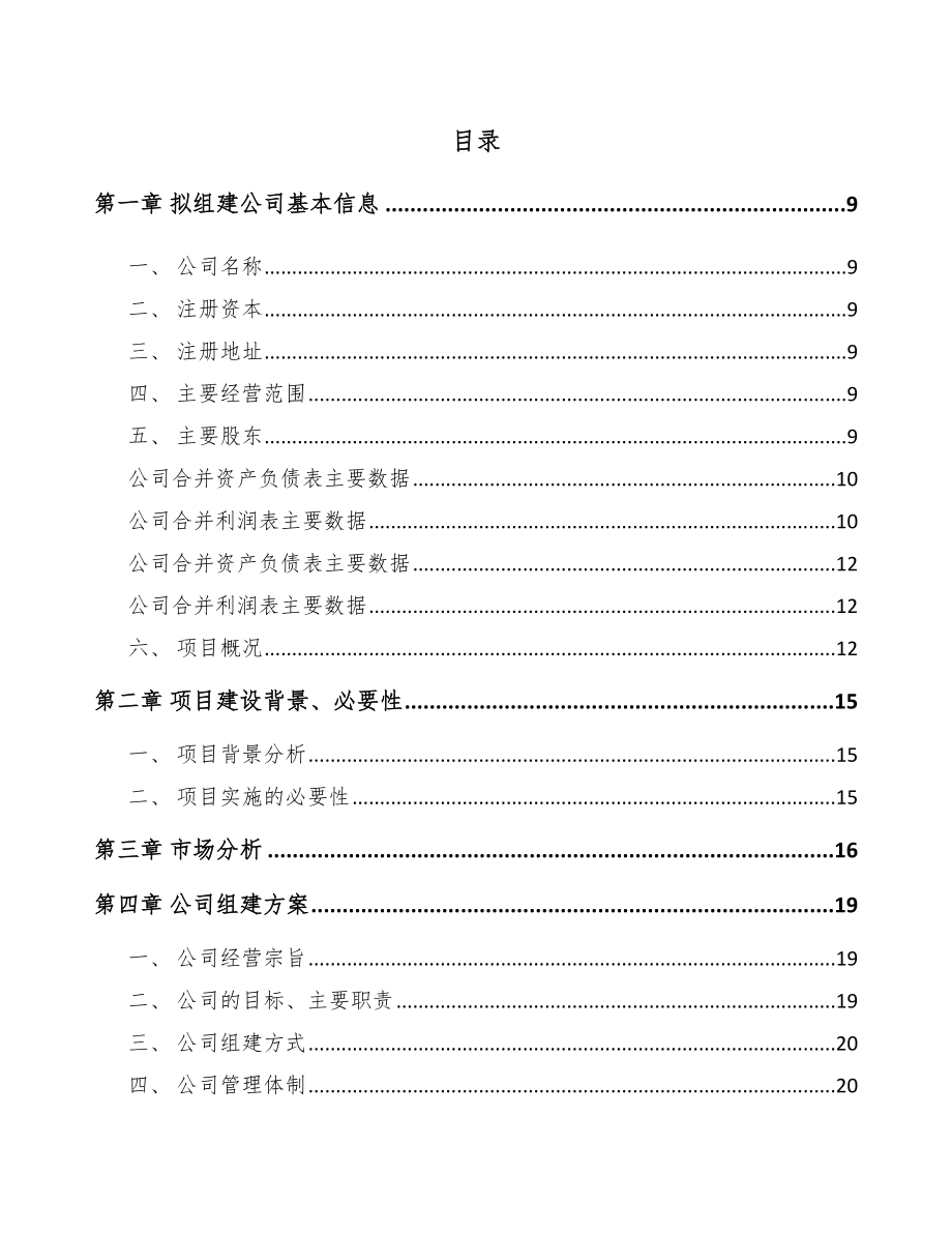 关于成立电动车减震器公司可行性研究报告.docx_第2页