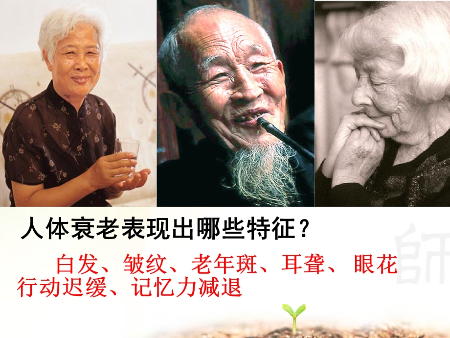 细胞的衰老癌变.ppt_第2页