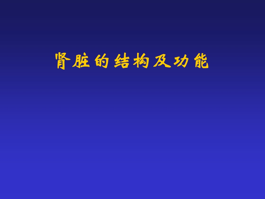 肾脏的结构及功能.ppt_第1页