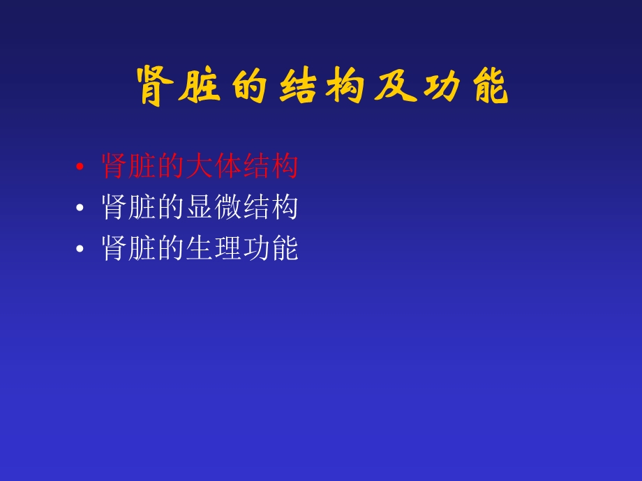 肾脏的结构及功能.ppt_第2页