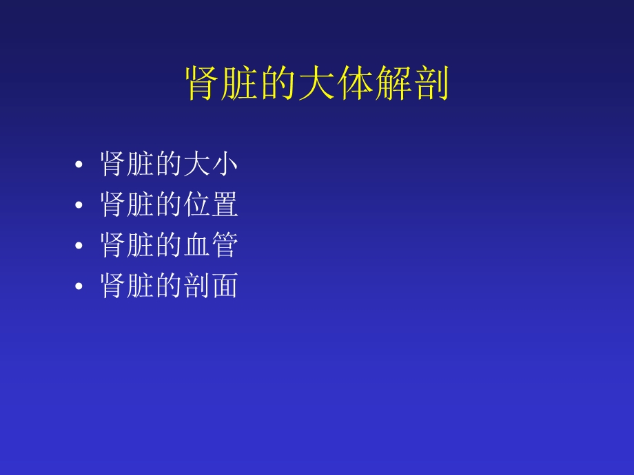 肾脏的结构及功能.ppt_第3页