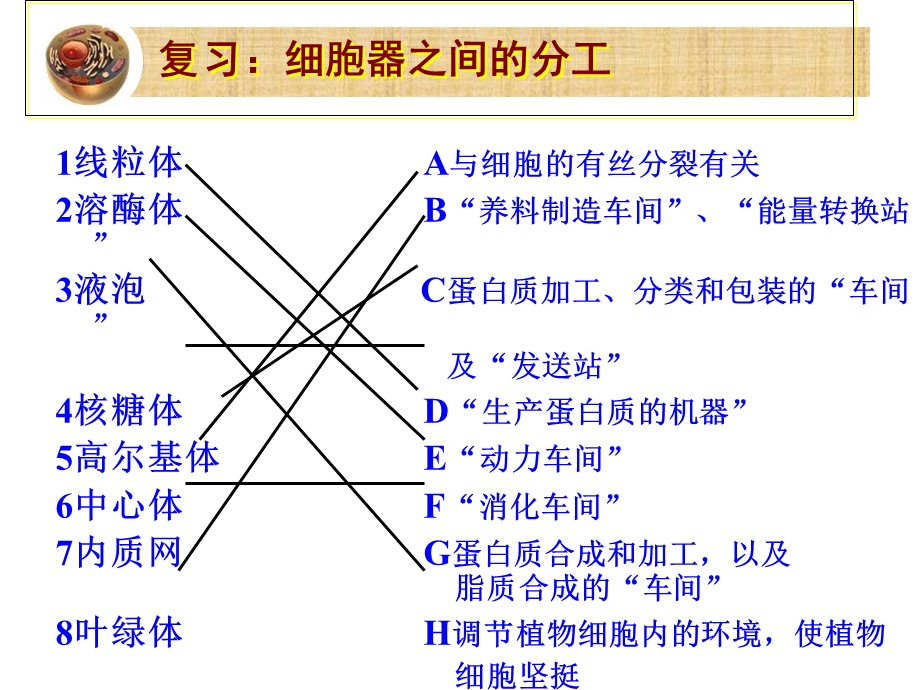 片段教学：分泌蛋白的合成和运输.ppt_第1页