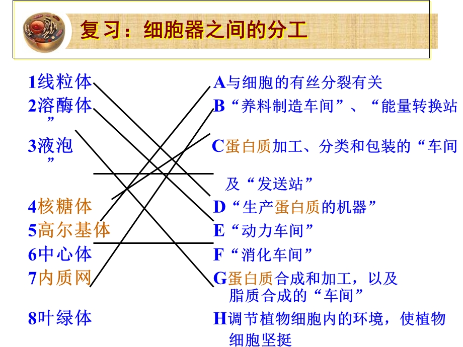 片段教学：分泌蛋白的合成和运输.ppt_第2页