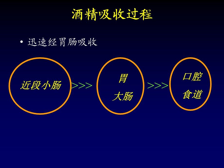 酒精中毒与神经系统损害.ppt_第3页