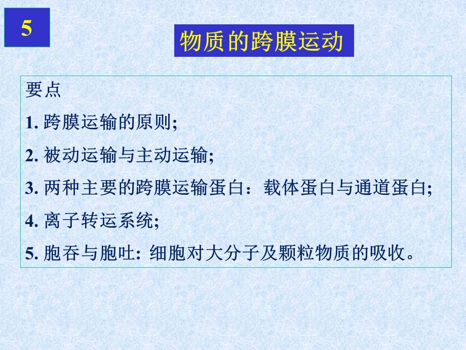 51跨膜转运.ppt_第1页