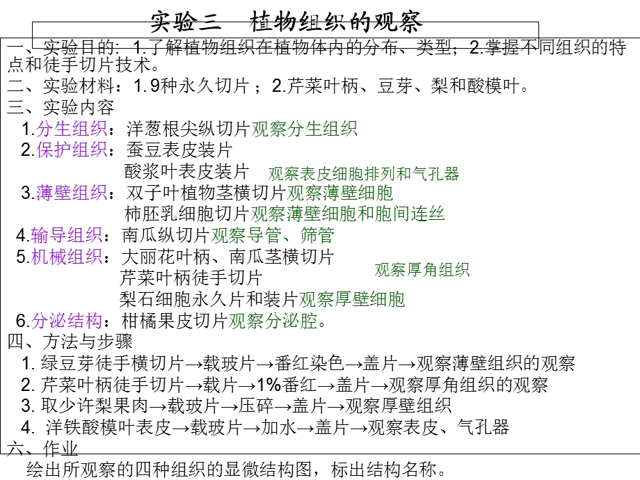 植物实验切片观察.ppt_第2页