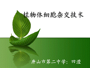 植物体细胞杂交(完整).ppt