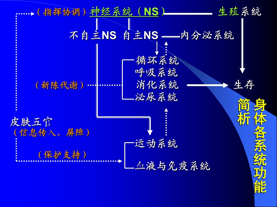 缺血性卒中的预防与康复.ppt_第3页