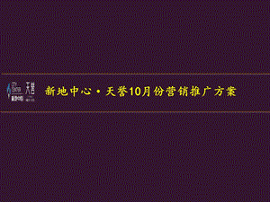 新地中心天誉10月份营销计划92p.ppt