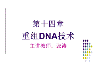 重组DNA技术(交).ppt