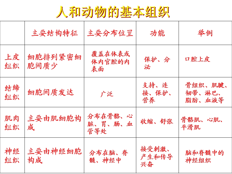 植物体的主要组织.ppt_第2页