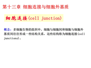 细胞生物学-细胞连接与细胞外基质.ppt