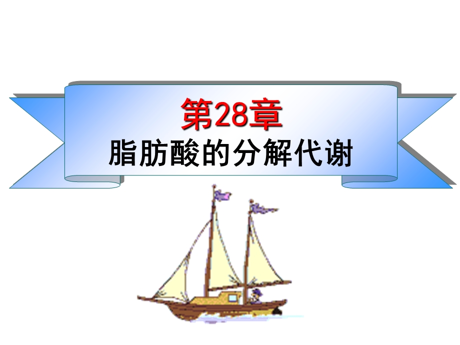 脂类的分解代谢.ppt_第1页