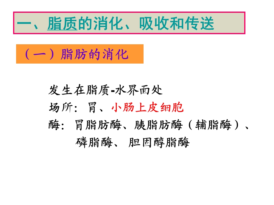 脂类的分解代谢.ppt_第3页