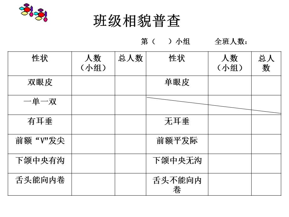 教科版科学六上相貌各异的我们课件.ppt_第3页