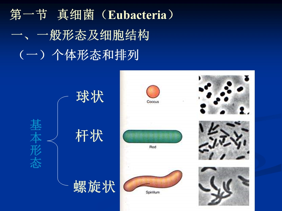 3结构与功能1.ppt_第2页