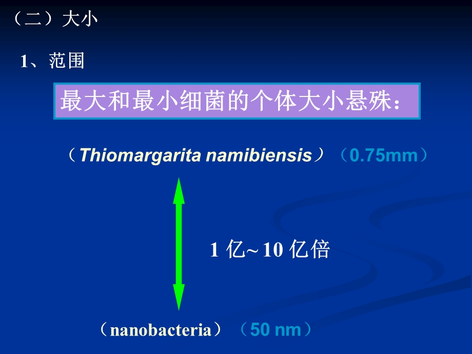 3结构与功能1.ppt_第3页