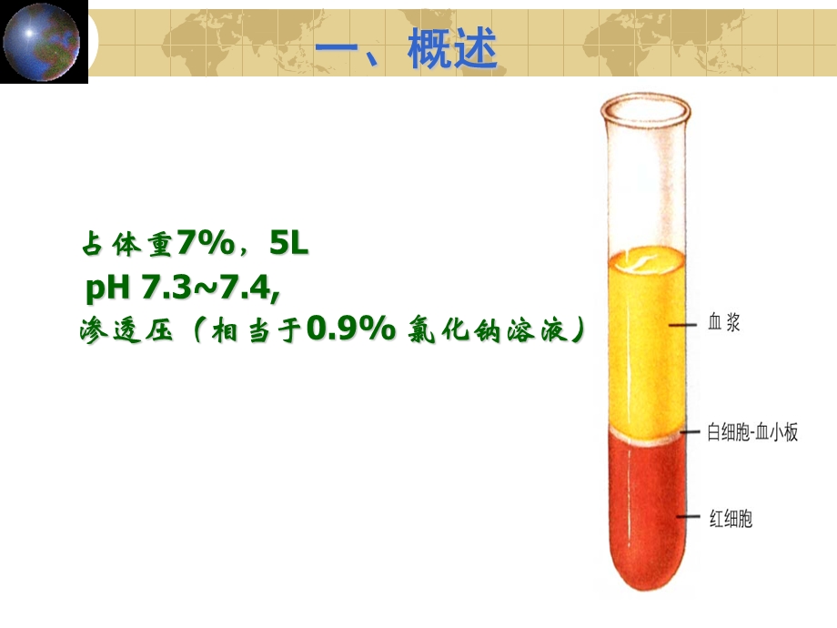 组织学与胚胎学-血液-PPT课件.ppt_第2页