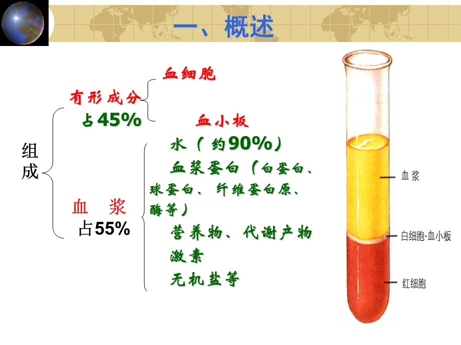 组织学与胚胎学-血液-PPT课件.ppt_第3页