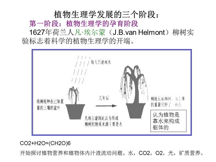 12植物生理学复习.ppt_第3页