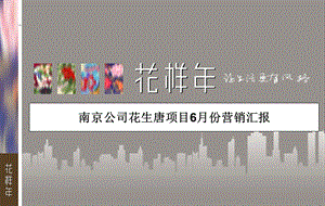 06南京花生唐月度营销推广策略及执行报告.ppt