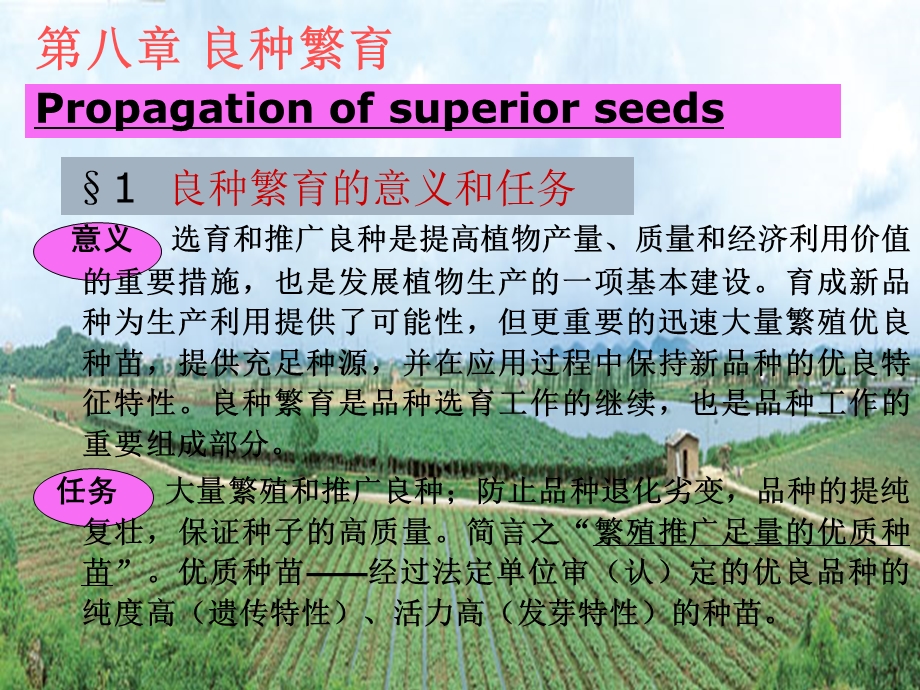 第八良种繁育Propagationofsuperiorseeds.ppt_第1页