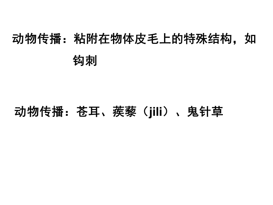 教科版科学四下把种子散播到远处课件之一.ppt_第3页