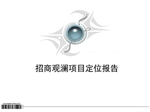 深圳招商地产观澜项目地块定位报告144页.ppt