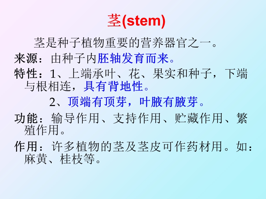 药用植物植物器官.ppt_第3页