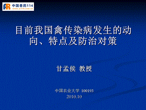 目前我国禽传染病发生的动向、特点及防治对策.ppt