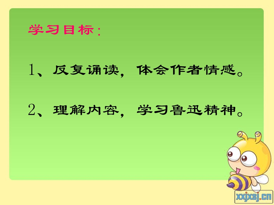 忘记我管自己的生活鲁迅.ppt_第3页