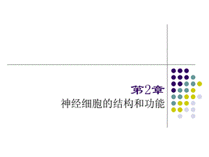 神经元结构与功能.ppt