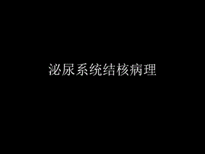 泌尿系统结核病理.ppt