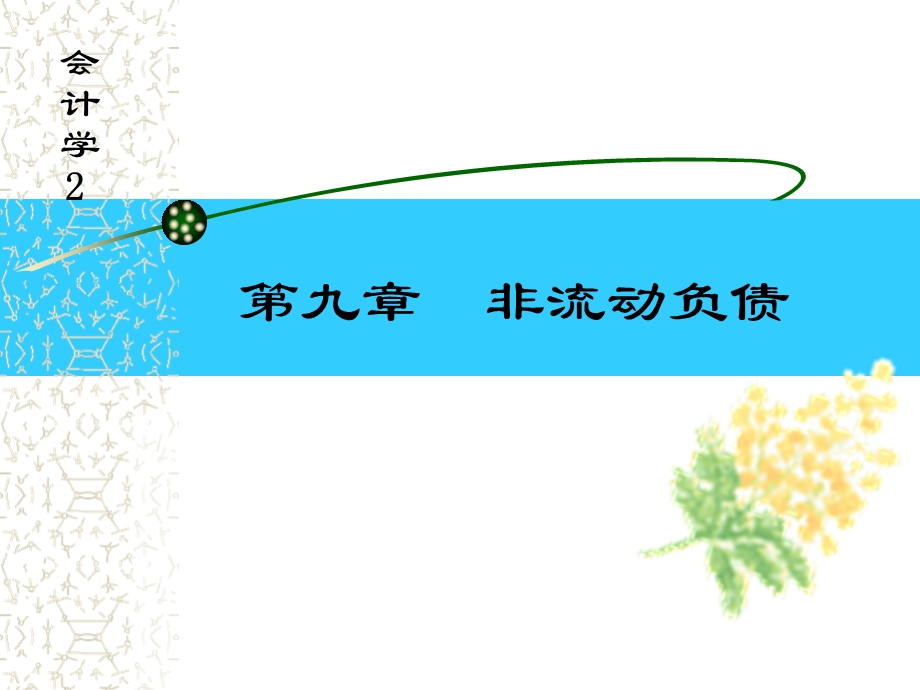 九章节非流动负债.ppt_第1页