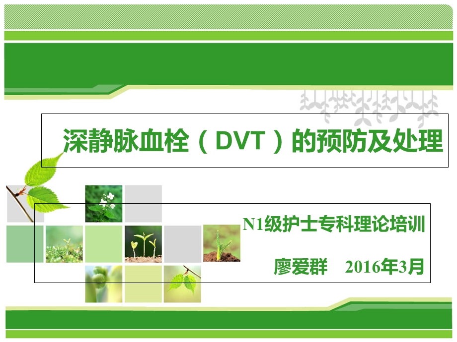 深静脉血栓(DVT)的预防及处理.ppt_第1页