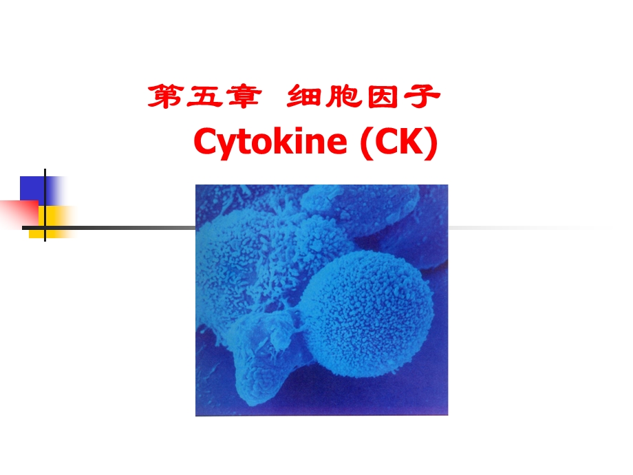 免疫学细胞因子.ppt_第1页