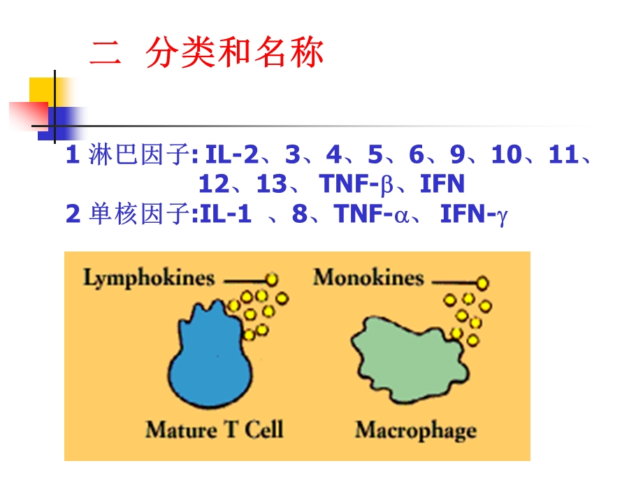 免疫学细胞因子.ppt_第3页