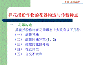 玉米育种玉米育种.ppt