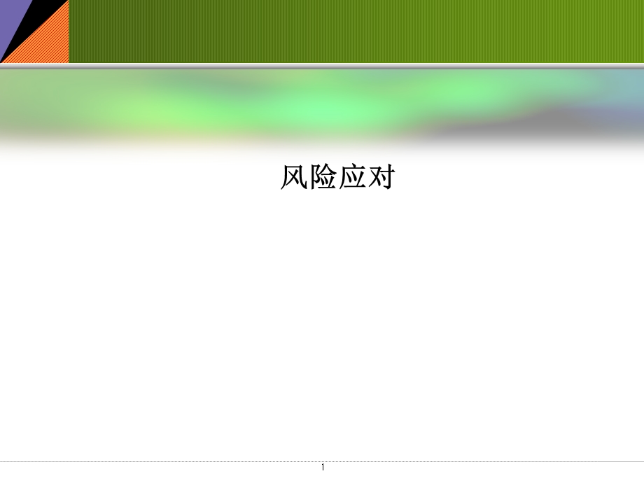 风险应对ppt课件.ppt_第1页