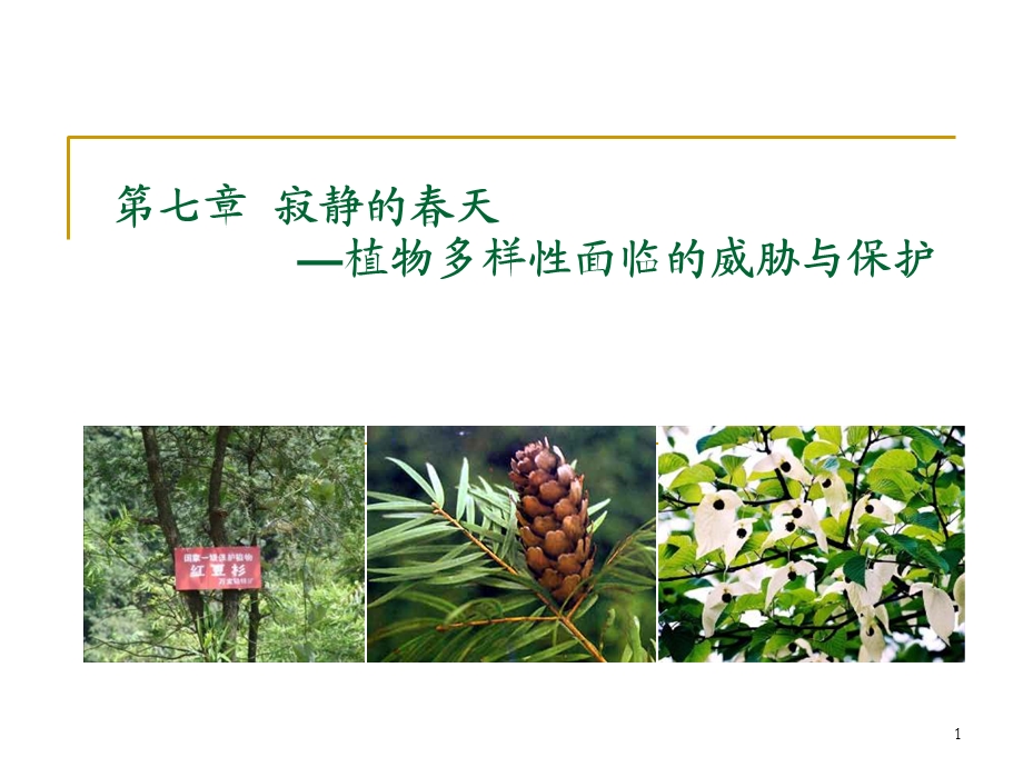 植物资源面临的现状与保护.ppt_第1页