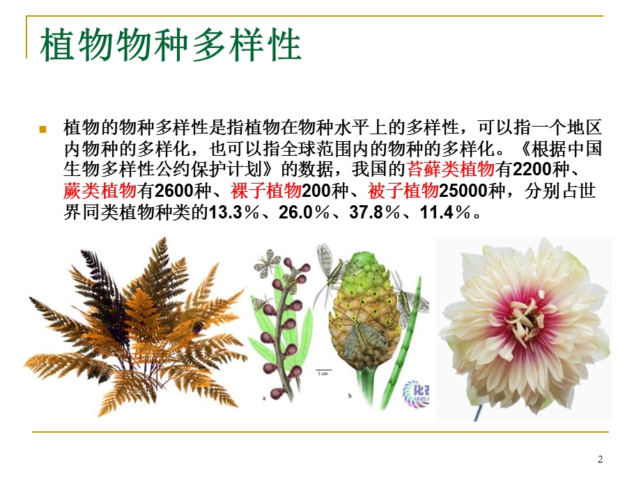 植物资源面临的现状与保护.ppt_第2页