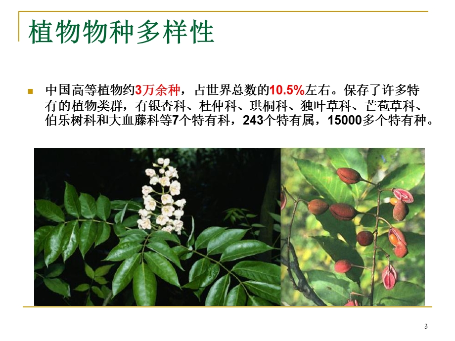 植物资源面临的现状与保护.ppt_第3页