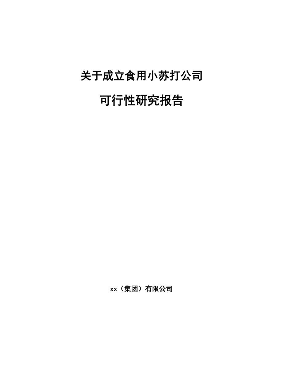 关于成立食用小苏打公司可行性研究报告.docx_第1页