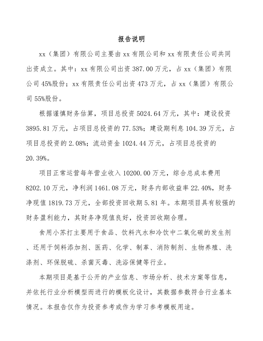 关于成立食用小苏打公司可行性研究报告.docx_第2页