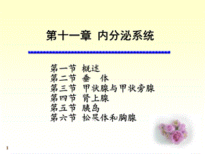 系统解剖学-内分泌系统.ppt