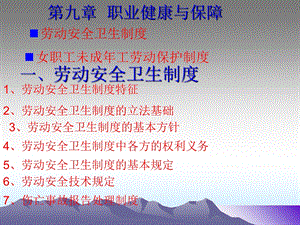 职业健康与保障.ppt