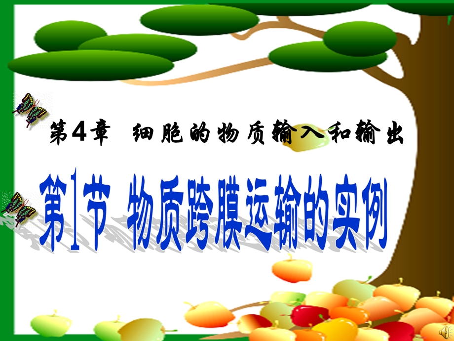 物质跨膜运输的实例(动画版).ppt_第1页