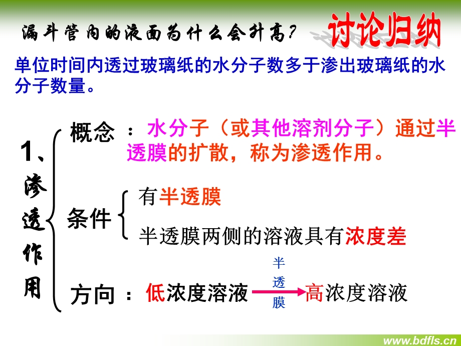 物质跨膜运输的实例(动画版).ppt_第3页