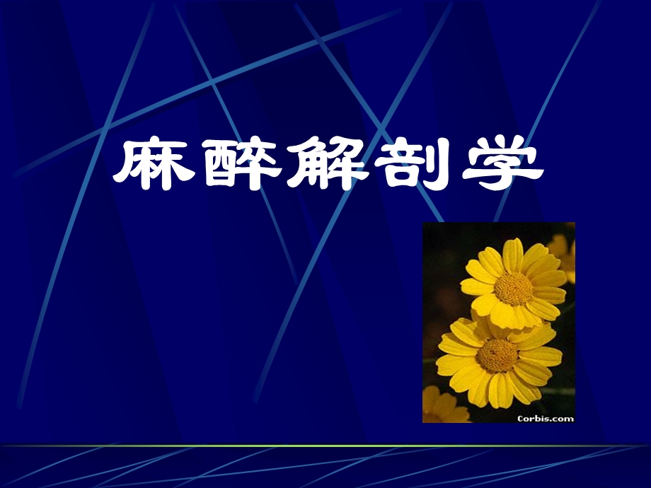 麻醉解剖学(上下肢).ppt_第1页