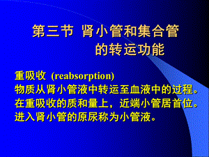 083肾小管与集合管的转运功能.ppt